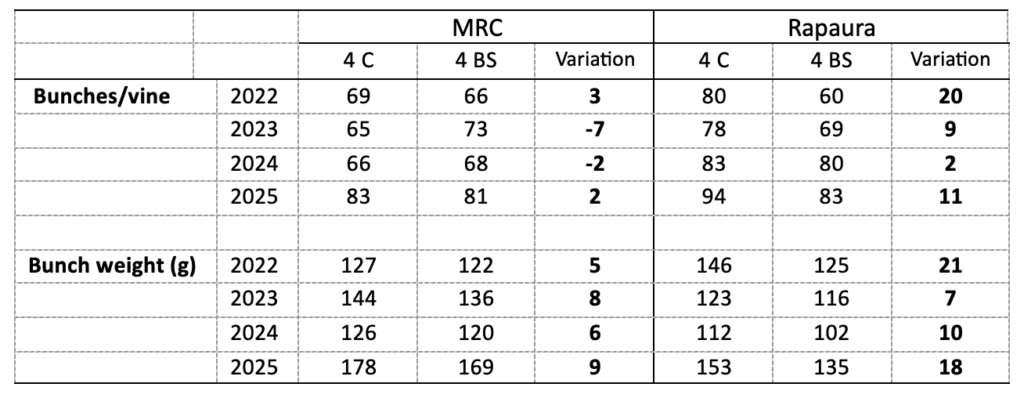 Table showing bunches per vine and bunch weight (g) from 2022–2025 for two sites, MRC and Rapaura, with values under "4 C", "4 BS", and their variations, highlighting variation numbers in bold.